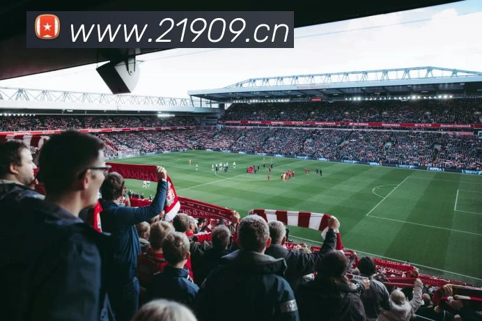 多媒体互动体验